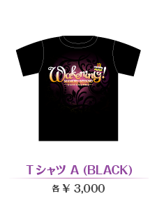 TシャツA (BLACK)